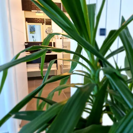 Dalmatia Infinity Apartamento Bibinje