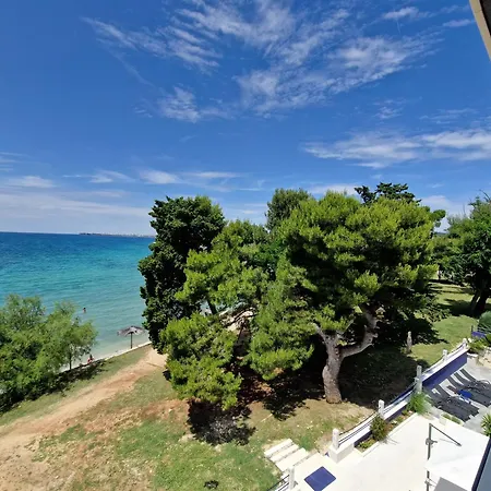 Dalmatia Infinity *