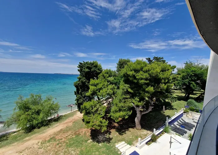 Dalmatia Infinity *