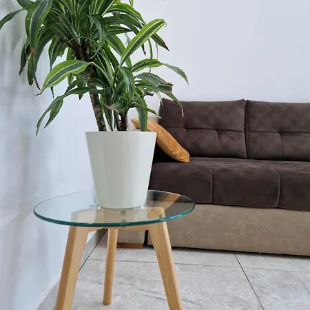 Dalmatia Infinity Bibinje