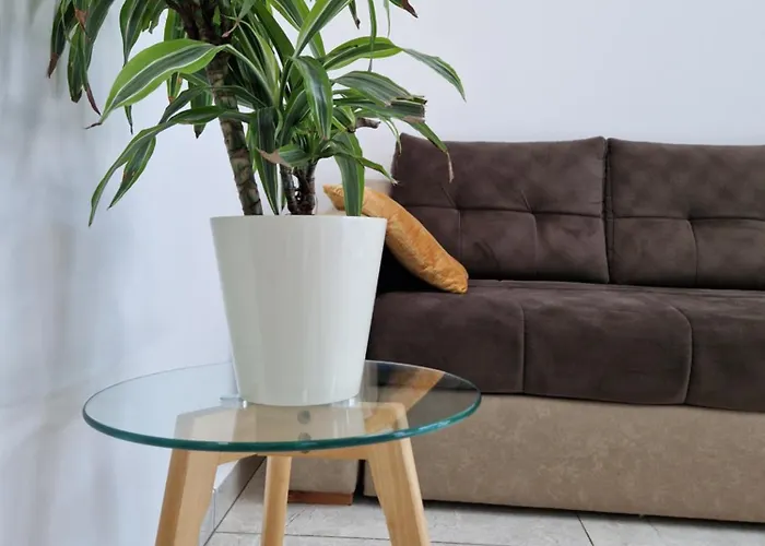 Dalmatia Infinity 比比涅